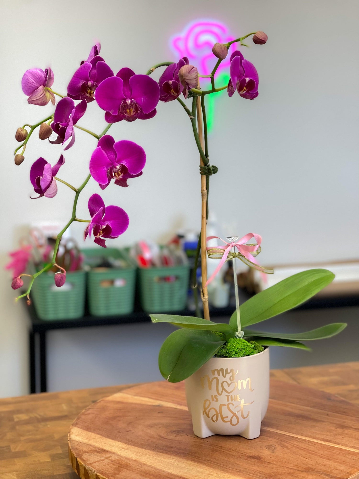The orchids - Plant Tanit Florist