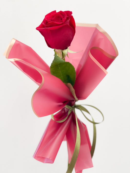 Only one Rose Tanit Florist